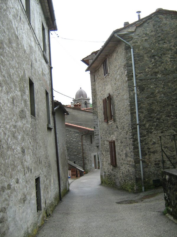 Funghi da Le Piastre